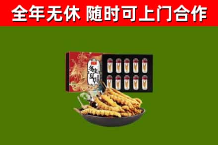 沧州市回收冬虫夏草价格